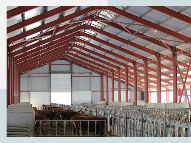 Строительство коровников в Щербинке